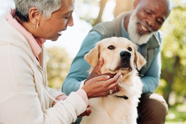 A couple petting a yellow lab in a park